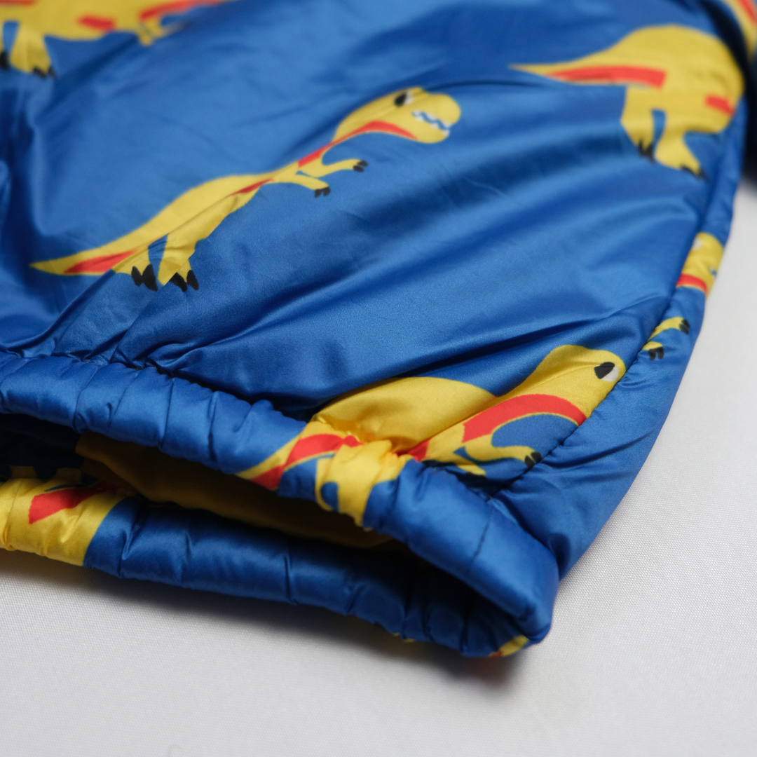 Guess Colorful Dinosaur Jacket – Size 3-6 M